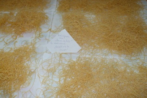 Taitei de casa by dana_radu23