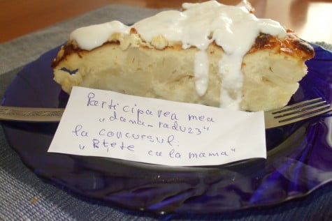 Soufle de conopida by dana_radu23