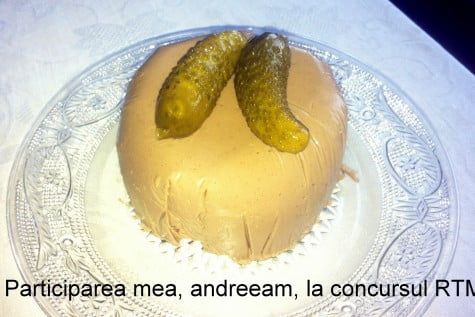 Pateu de casa din ficat de pui by andreeam