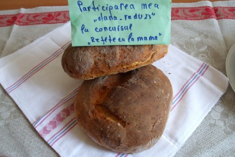 Paine de casa cu cartofi – reteta nemţească by dana_radu23