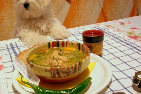 Ciorba de pui a la grec by stefanpizza