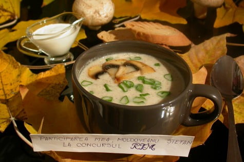 Supa crema de ciuperci by stefanpizza