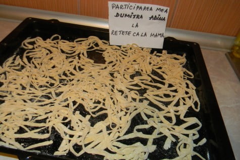 Taitei de casa by adinagrig