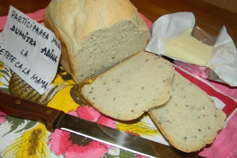 Painea mea cea neagra de fiecare zi, in masina de paine by adinagrig