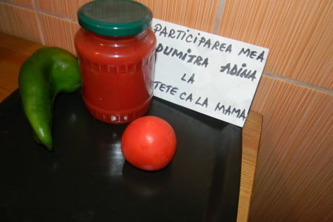 Pasta – bulion – de rosii by adinagrig