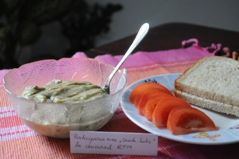 Salata de vinete romaneasca by Sanda Botis