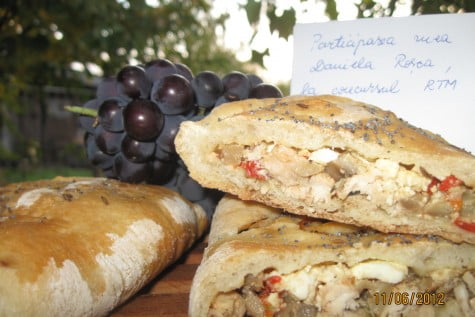 Placinta cu carne de pui by DanaR