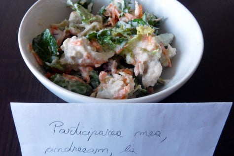 Salata cu piept de pui by andreeam