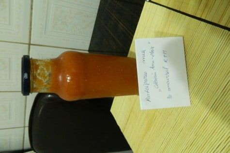 Pasta – bulion – de rosii by aryana