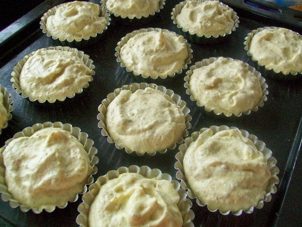 savarine 015 savarine 015