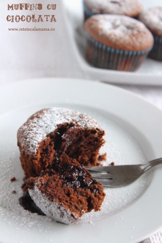 muffins cu ciocolata, reteta briose cu ciocolata