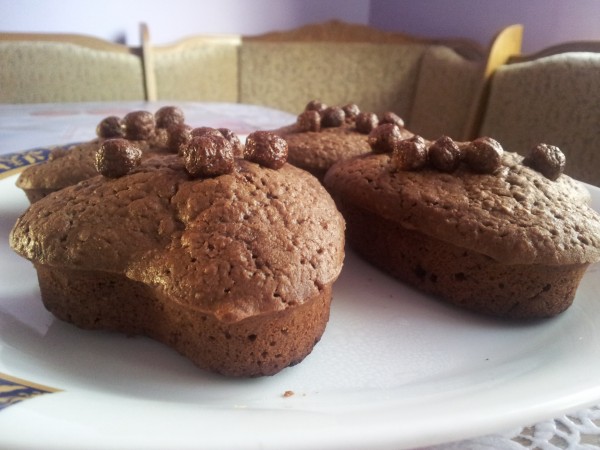 Muffins cu ciocolata by aml1425