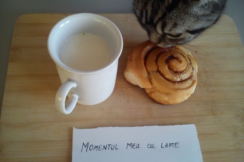 Bajenaru Simona- Alina