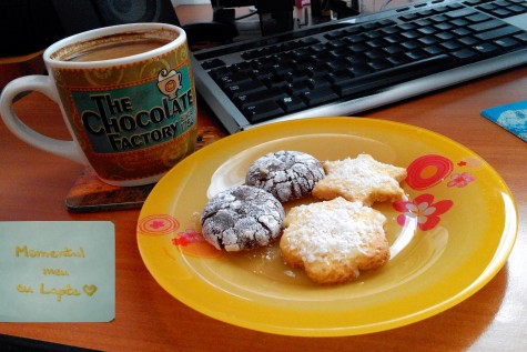 Dumitrescu Carmen-Gabriela