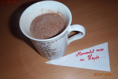 PicincuHobjila Viorica