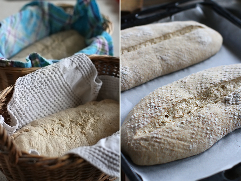 paine cu maia naturala si faina de secara - dospire finala, pregatit pentru copt