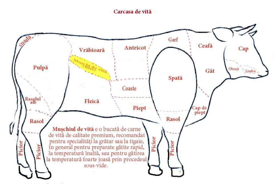Cat Costa Kg De Carne De Vita La Abator