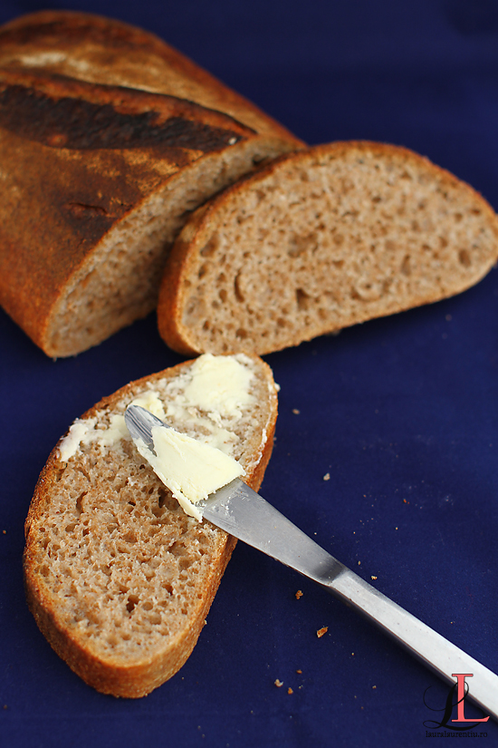 paine cu faina spelta si maia naturala reteta pas cu pas lauralaurentiu