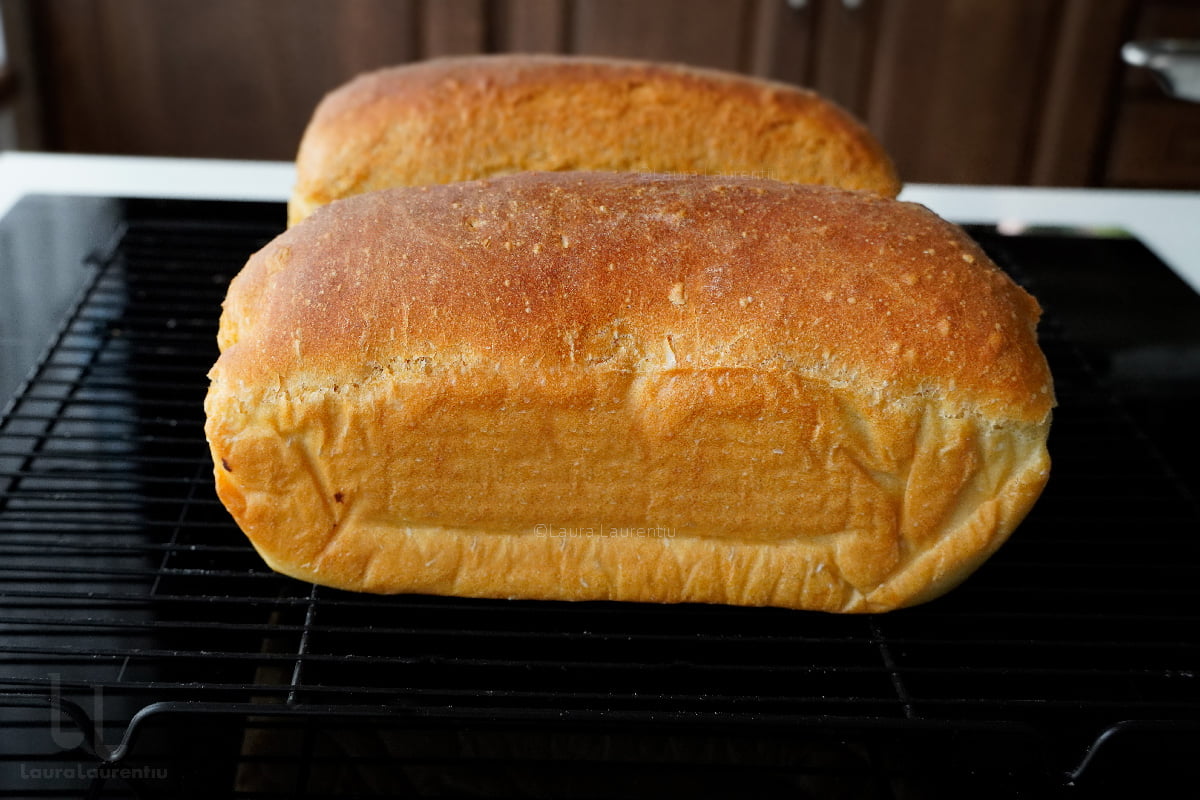 paine simpla reteta cea mai simpla reteta de paine