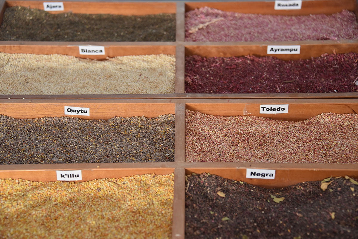 diferite tipuri de quinoa